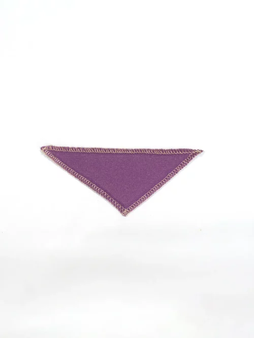 Lot de 2 coques violettes pour shorty