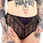 Culotte taille haute, dentelle Kate