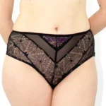 Culotte taille haute, dentelle Romy